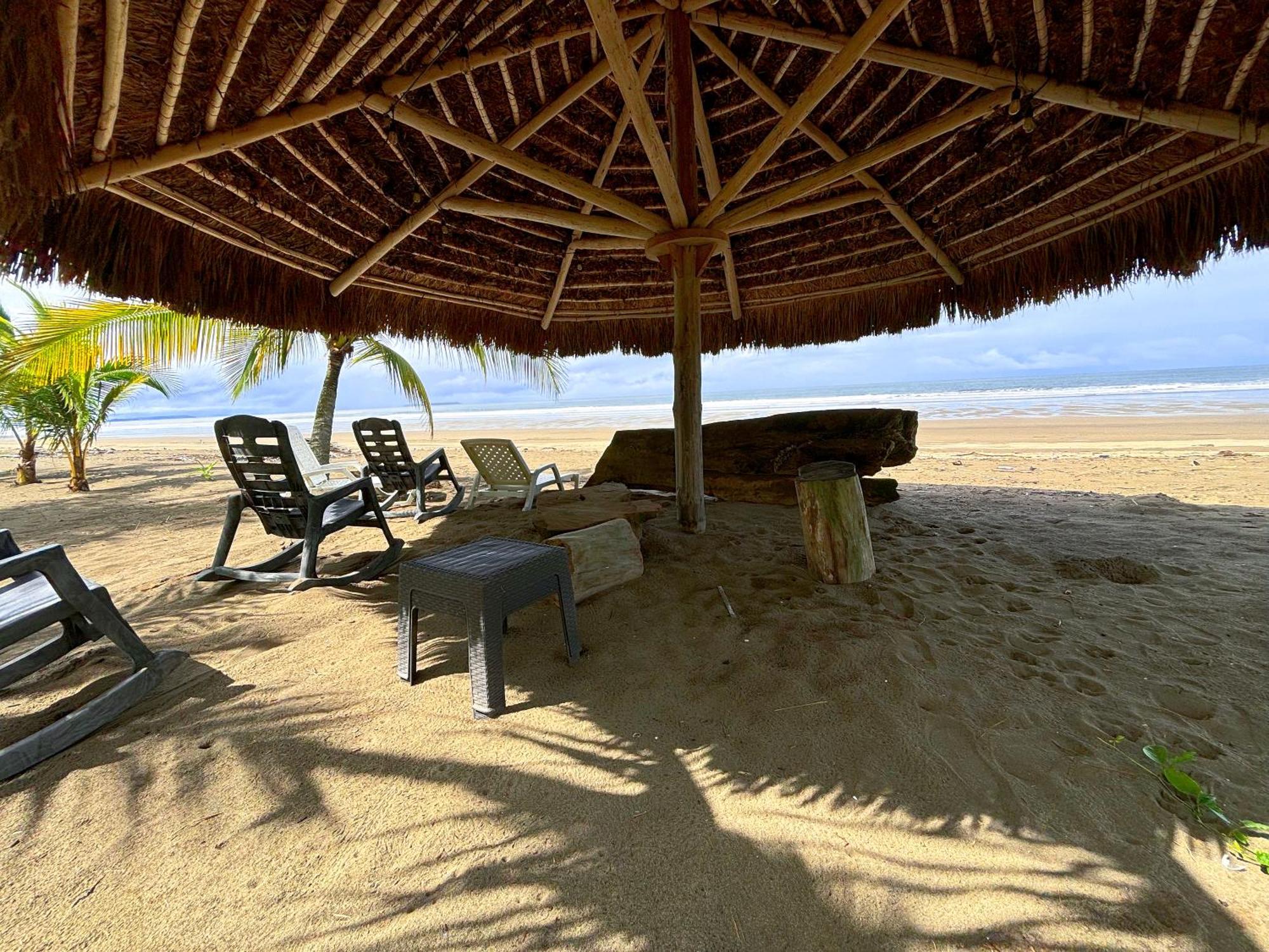 Royal Palm Retreat Apartment Cabrera Bagian luar foto