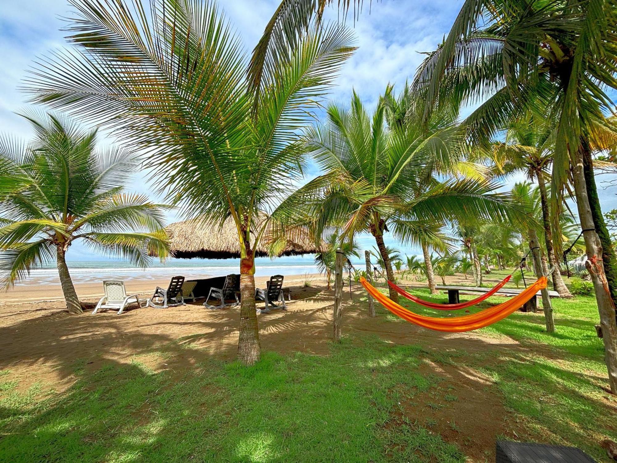 Royal Palm Retreat Apartment Cabrera Bagian luar foto